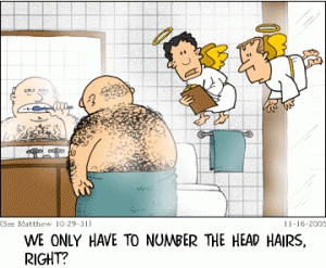 hairs