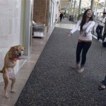 the-dog-named-faith-03
