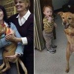 the-dog-named-faith-04