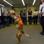 the-dog-named-faith-05