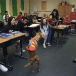 the-dog-named-faith-09