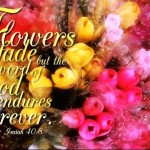 Bible Verses Picture 0802