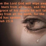 Bible Verses Picture 0816