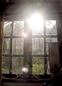 Window Through Which We Look