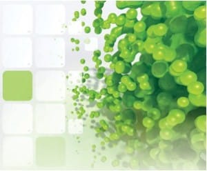 Science And Religion Can Coexist