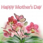 Happy Mothers Day Card 05